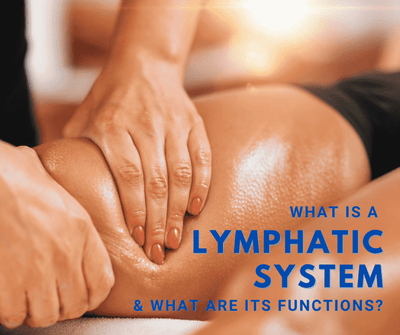 What is a lymphatic system & what are its functions?