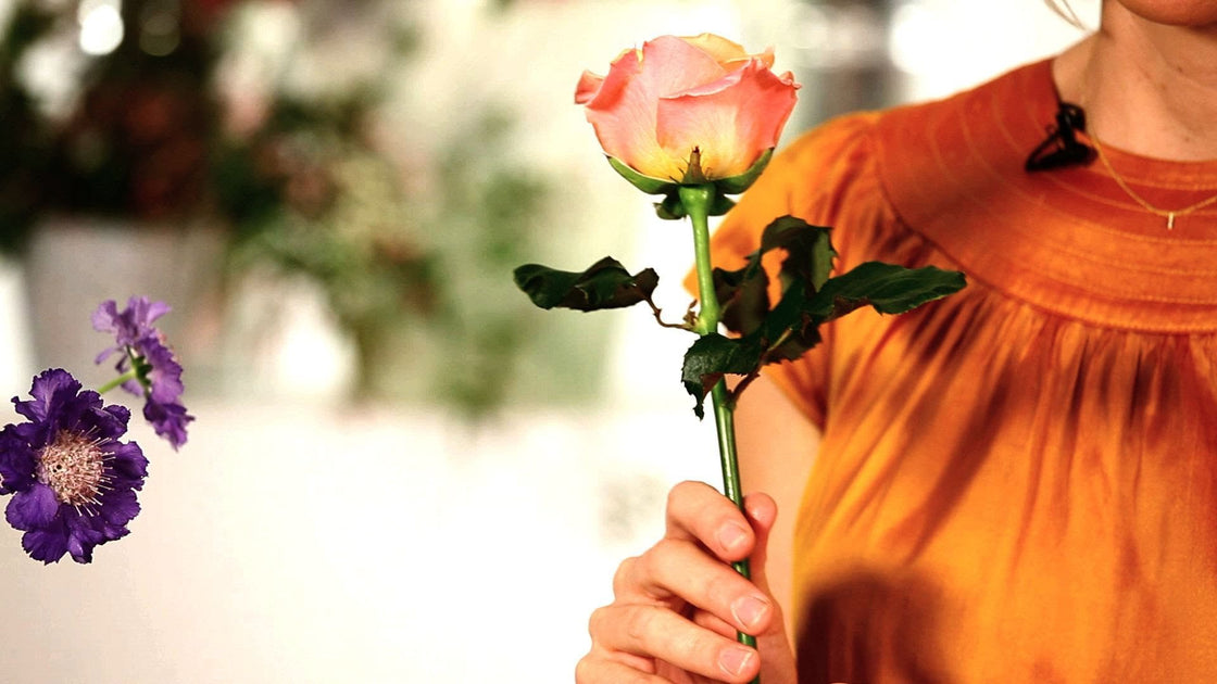 How To Make Roses Last Longer Thumper Massager Inc AU Store how-to-make-roses-last-longer-thumper-massager-inc-au-store