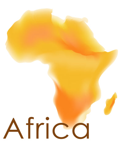 Can You Name All the Countries in Africa?