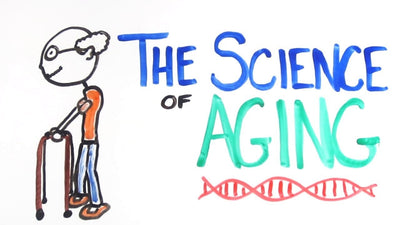 Why Do We Age?